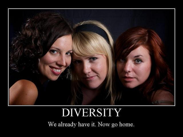 Diversity - We already have it